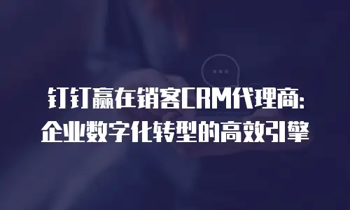 钉钉赢在销客CRM代理商：企业数字化转型的高效引擎