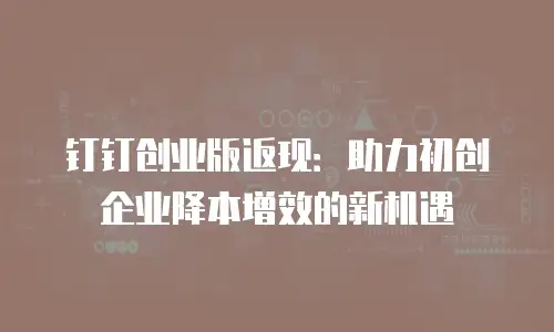钉钉创业版返现：助力初创企业降本增效的新机遇