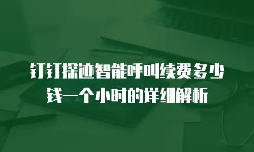 钉钉探迹智能呼叫续费多少钱一个小时的详细解析
