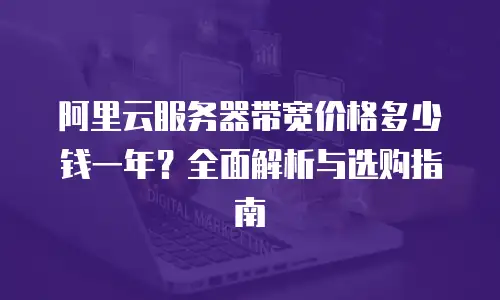 阿里云服务器带宽价格多少钱一年？全面解析与选购指南