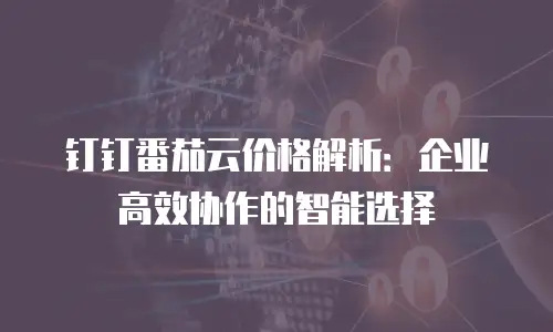 钉钉番茄云价格解析：企业高效协作的智能选择