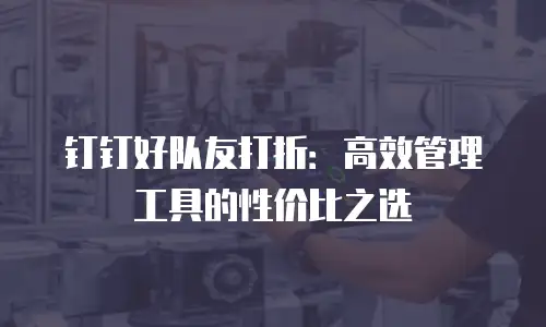 钉钉好队友打折：高效管理工具的性价比之选