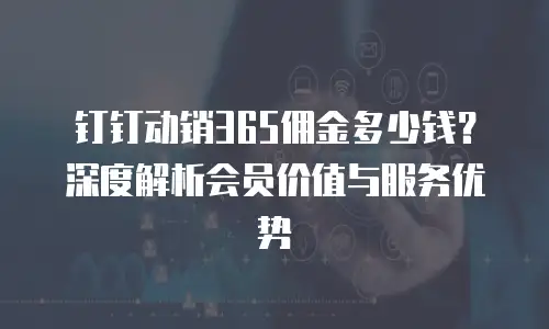 钉钉动销365佣金多少钱？深度解析会员价值与服务优势