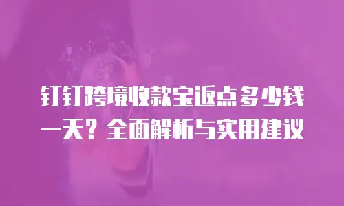 钉钉跨境收款宝返点多少钱一天？全面解析与实用建议