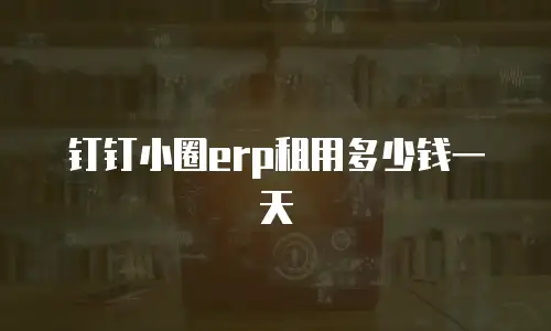 钉钉小圈erp租用多少钱一天