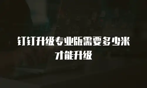 钉钉升级专业版需要多少米才能升级