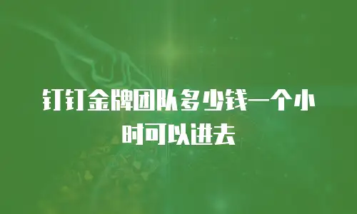 钉钉金牌团队多少钱一个小时可以进去