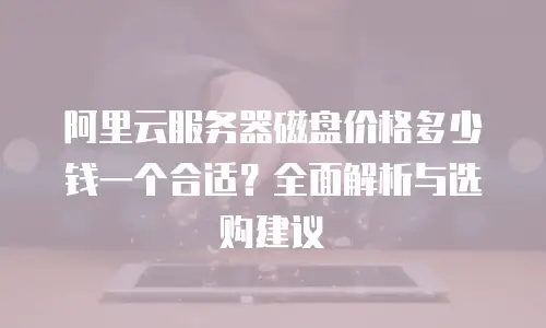 阿里云服务器磁盘价格多少钱一个合适？全面解析与选购建议