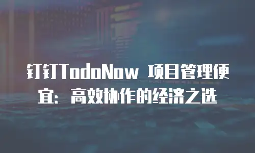 钉钉TodoNow 项目管理便宜：高效协作的经济之选