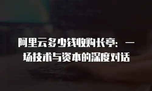 阿里云多少钱收购长亭：一场技术与资本的深度对话