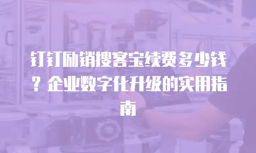 钉钉励销搜客宝续费多少钱？企业数字化升级的实用指南