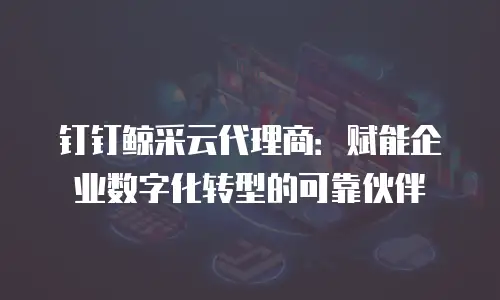 钉钉鲸采云代理商：赋能企业数字化转型的可靠伙伴