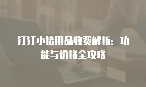 钉钉小猪用品收费解析：功能与价格全攻略
