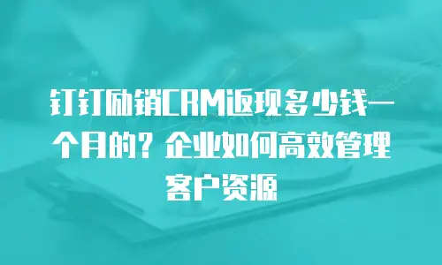 钉钉励销CRM返现多少钱一个月的？企业如何高效管理客户资源