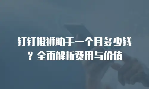 钉钉橙狮助手一个月多少钱？全面解析费用与价值