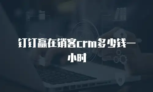 钉钉赢在销客crm多少钱一小时