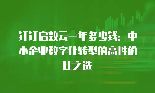 钉钉启效云一年多少钱：中小企业数字化转型的高性价比之选
