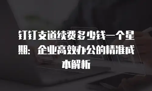 钉钉支道续费多少钱一个星期：企业高效办公的精准成本解析