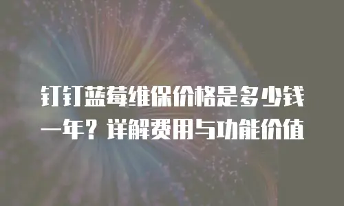 钉钉蓝莓维保价格是多少钱一年？详解费用与功能价值