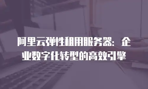 阿里云弹性租用服务器：企业数字化转型的高效引擎