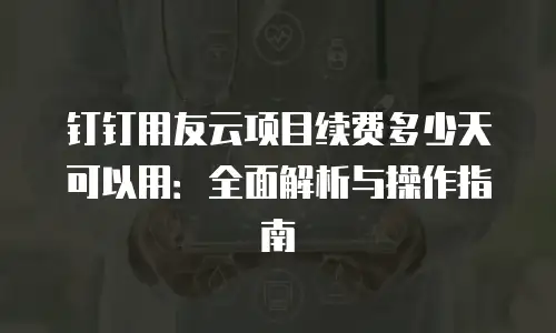 钉钉用友云项目续费多少天可以用：全面解析与操作指南