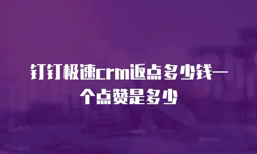 钉钉极速crm返点多少钱一个点赞是多少