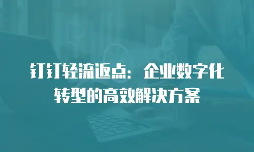 钉钉轻流返点：企业数字化转型的高效解决方案