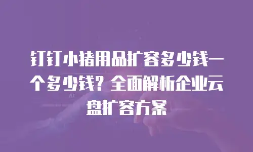 钉钉小猪用品扩容多少钱一个多少钱？全面解析企业云盘扩容方案