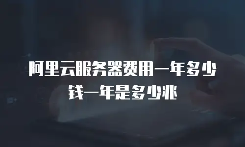 阿里云服务器费用一年多少钱一年是多少兆
