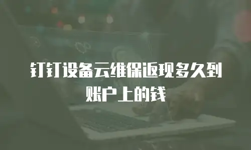 钉钉设备云维保返现多久到账户上的钱