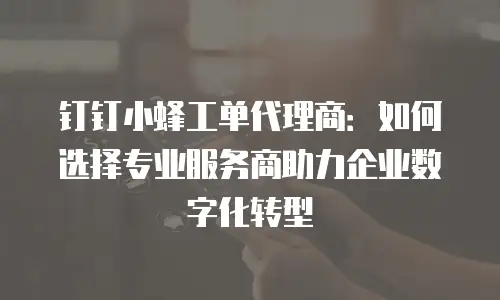 钉钉小蜂工单代理商：如何选择专业服务商助力企业数字化转型