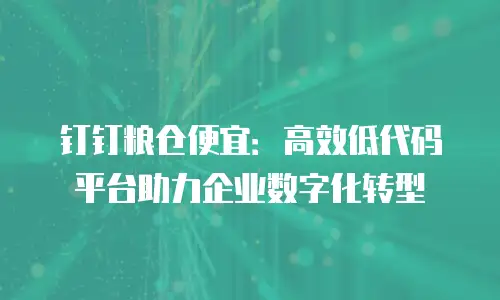 钉钉粮仓便宜：高效低代码平台助力企业数字化转型