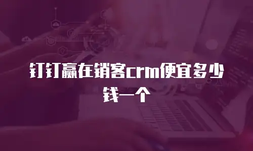 钉钉赢在销客crm便宜多少钱一个