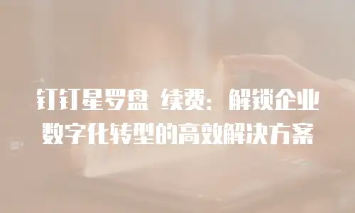 钉钉星罗盘 续费：解锁企业数字化转型的高效解决方案