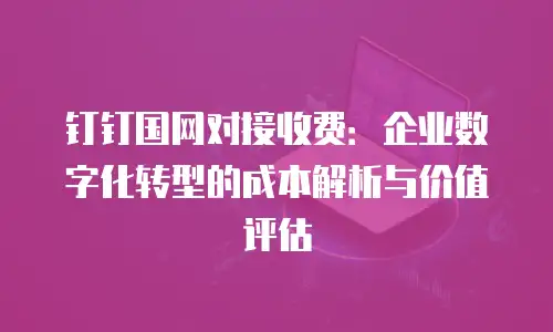 钉钉国网对接收费：企业数字化转型的成本解析与价值评估