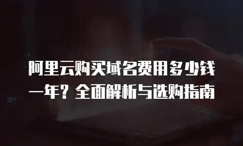 阿里云购买域名费用多少钱一年？全面解析与选购指南