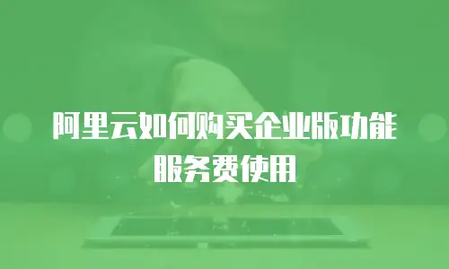 阿里云如何购买企业版功能服务费使用