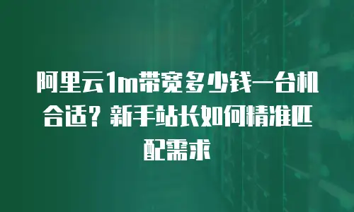 阿里云1m带宽多少钱一台机合适？新手站长如何精准匹配需求