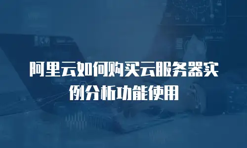 阿里云如何购买云服务器实例分析功能使用