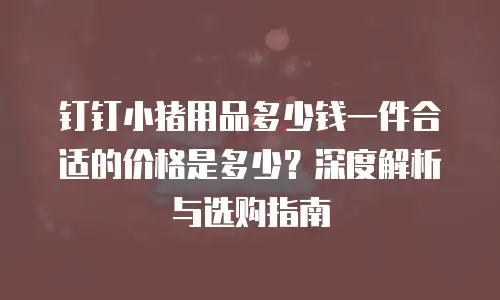 钉钉小猪用品多少钱一件合适的价格是多少？深度解析与选购指南