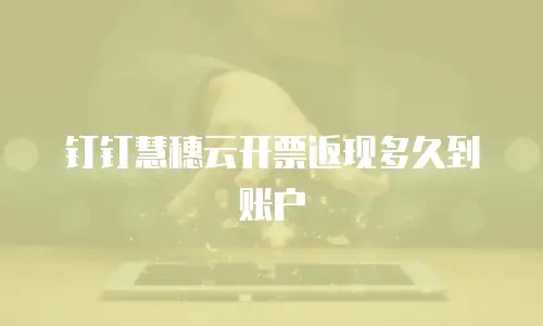 钉钉慧穗云开票返现多久到账户