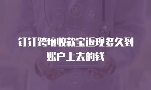 钉钉跨境收款宝返现多久到账户上去的钱