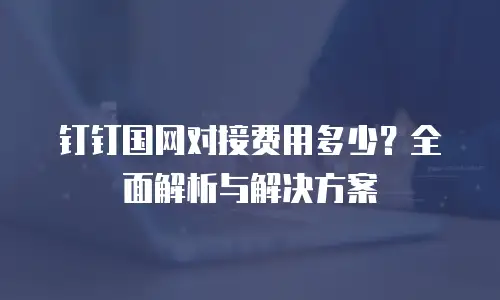 钉钉国网对接费用多少？全面解析与解决方案