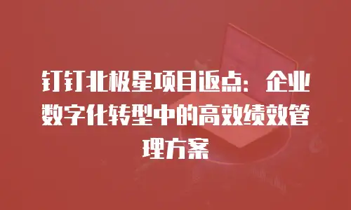 钉钉北极星项目返点：企业数字化转型中的高效绩效管理方案