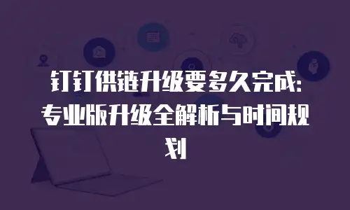 钉钉供链升级要多久完成：专业版升级全解析与时间规划