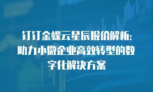 钉钉金蝶云星辰报价解析：助力小微企业高效转型的数字化解决方案
