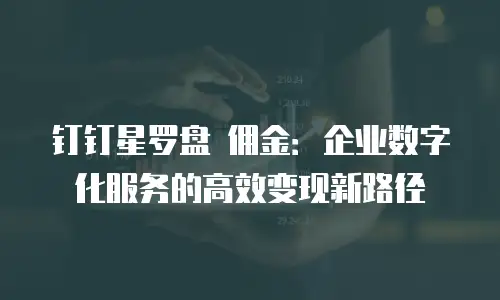 钉钉星罗盘 佣金：企业数字化服务的高效变现新路径