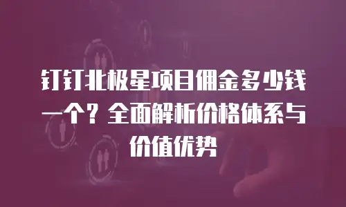 钉钉北极星项目佣金多少钱一个？全面解析价格体系与价值优势