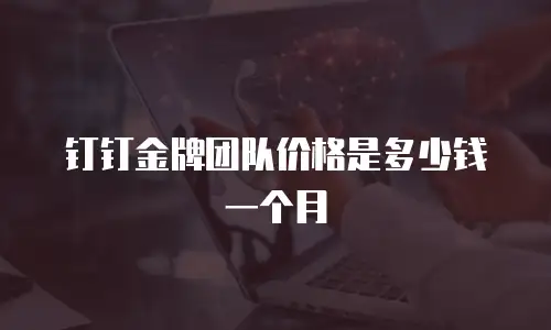 钉钉金牌团队价格是多少钱一个月