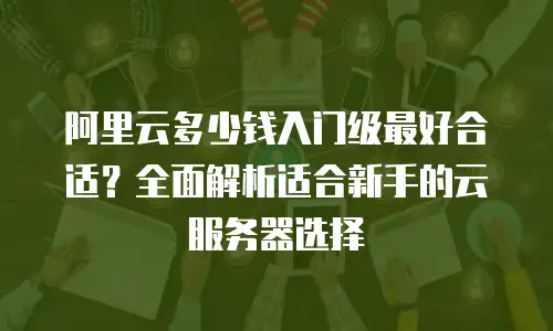 阿里云多少钱入门级最好合适？全面解析适合新手的云服务器选择